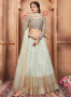 Blue Color Net Fabric Resham Embroidered Work Designer Wedding Wear Lehenga Choli