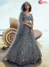 Grey Color Net Fabric Sequence Work Designer Lehenga Choli