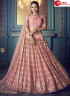 Pink Color Net Fabric Embroidered Sequence Work Designer Lehenga Choli